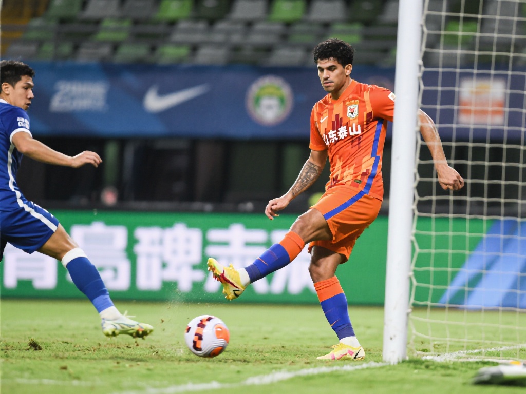 些基本信息 些基本信息