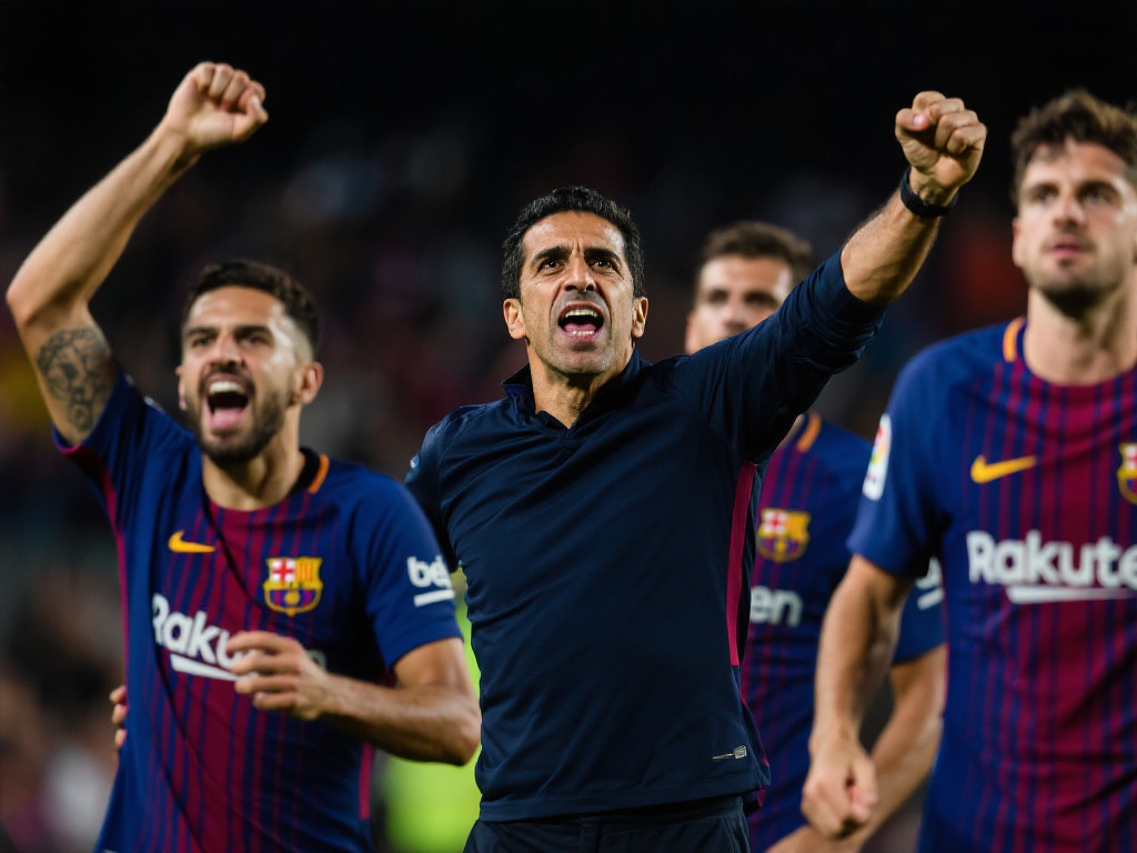 提供最完善 提供最完善